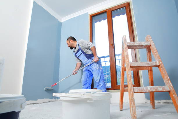 Best Attic Mold Removal  in Pearson, GA