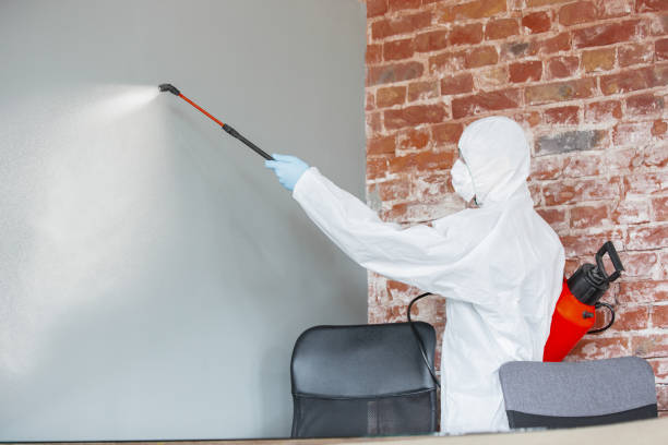 Best HVAC Mold Inspection and Cleaning  in Pearson, GA