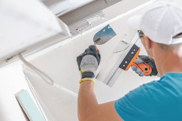 Pearson, GA Mold Removal Company